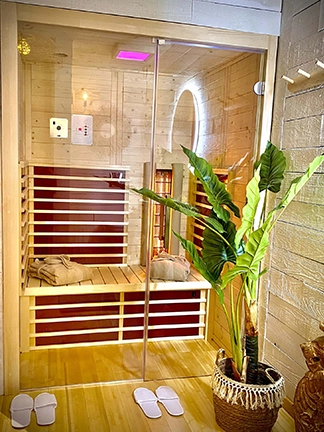 Image du la suite le cocon (vue sauna)